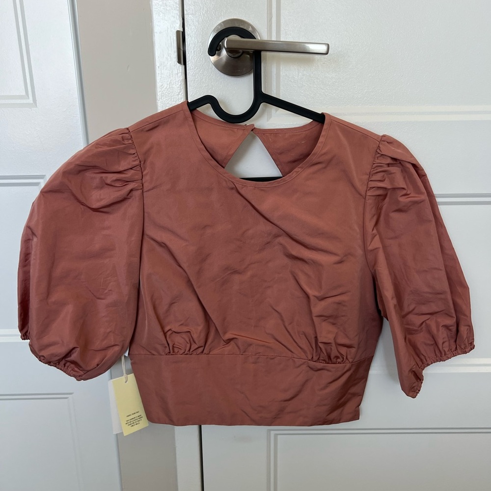 Aritzia Wilfred Elegant Puff Sleeve Blouse in Rust